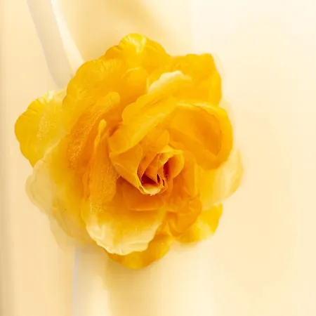 Residenza Porta Leoni - Royal Welcome * Verona