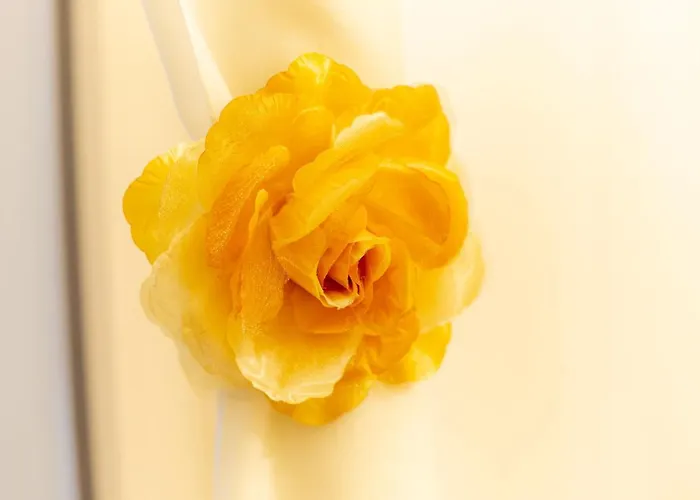 Residenza Porta Leoni - Royal Welcome * فيرونا